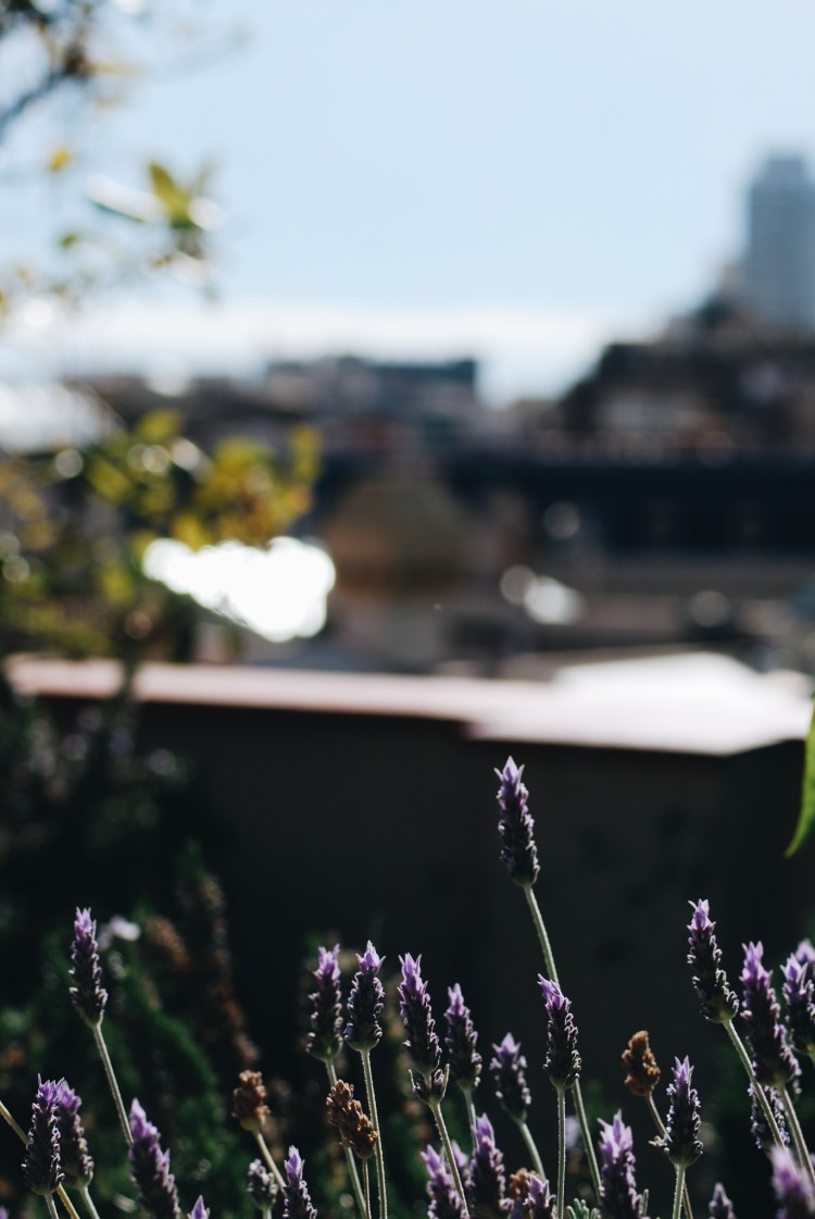 Processed with VSCO with a6 preset