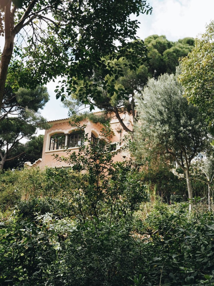 Processed with VSCO with a6 preset