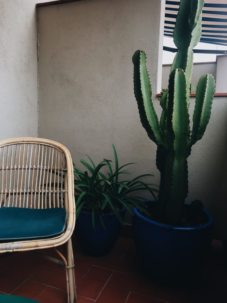 Processed with VSCO with a6 preset