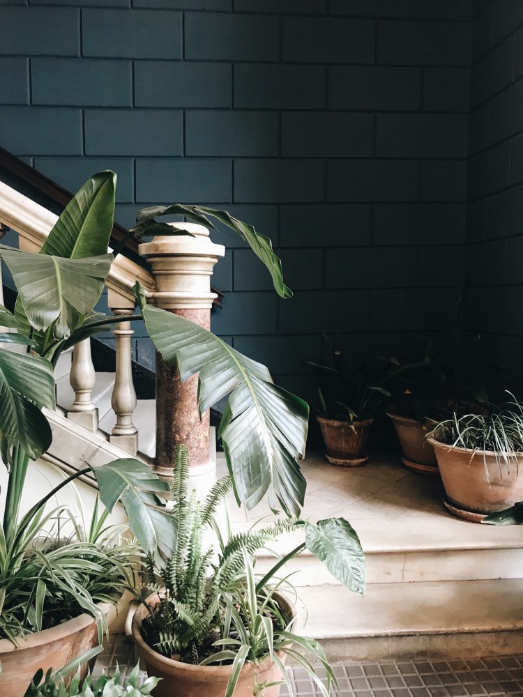 Processed with VSCO with a6 preset