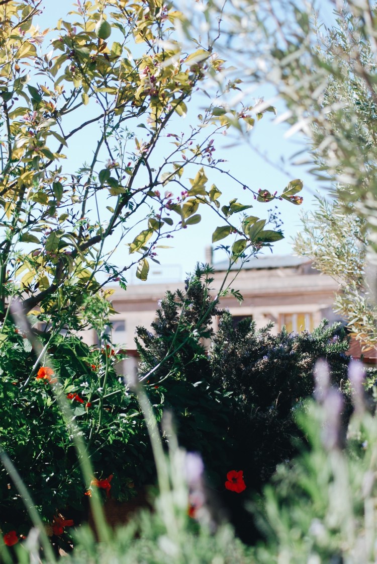 Processed with VSCO with a6 preset