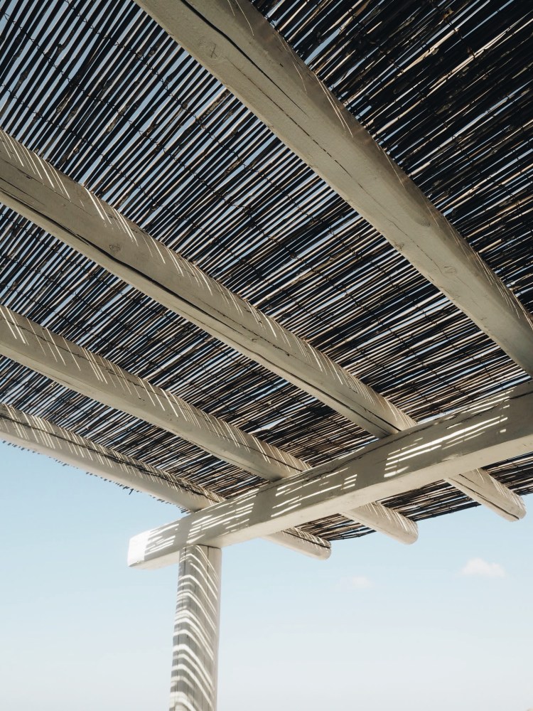 OLYMPUS DIGITAL CAMERA          Processed with VSCO with a6 preset