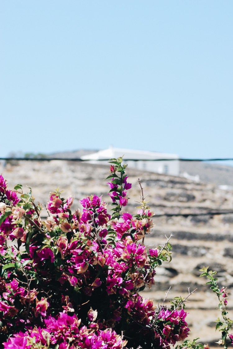 Processed with VSCO with a6 preset