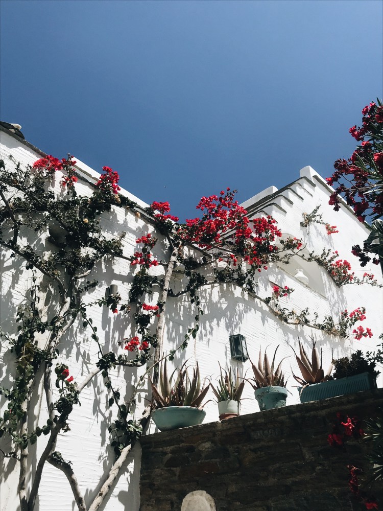 Processed with VSCO with a6 preset