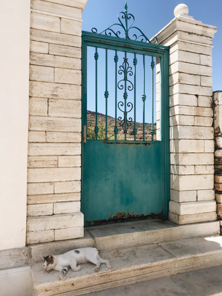 Processed with VSCO with a6 preset