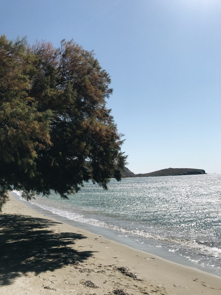 Processed with VSCO with a6 preset