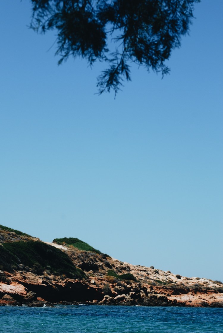 Processed with VSCO with a6 preset