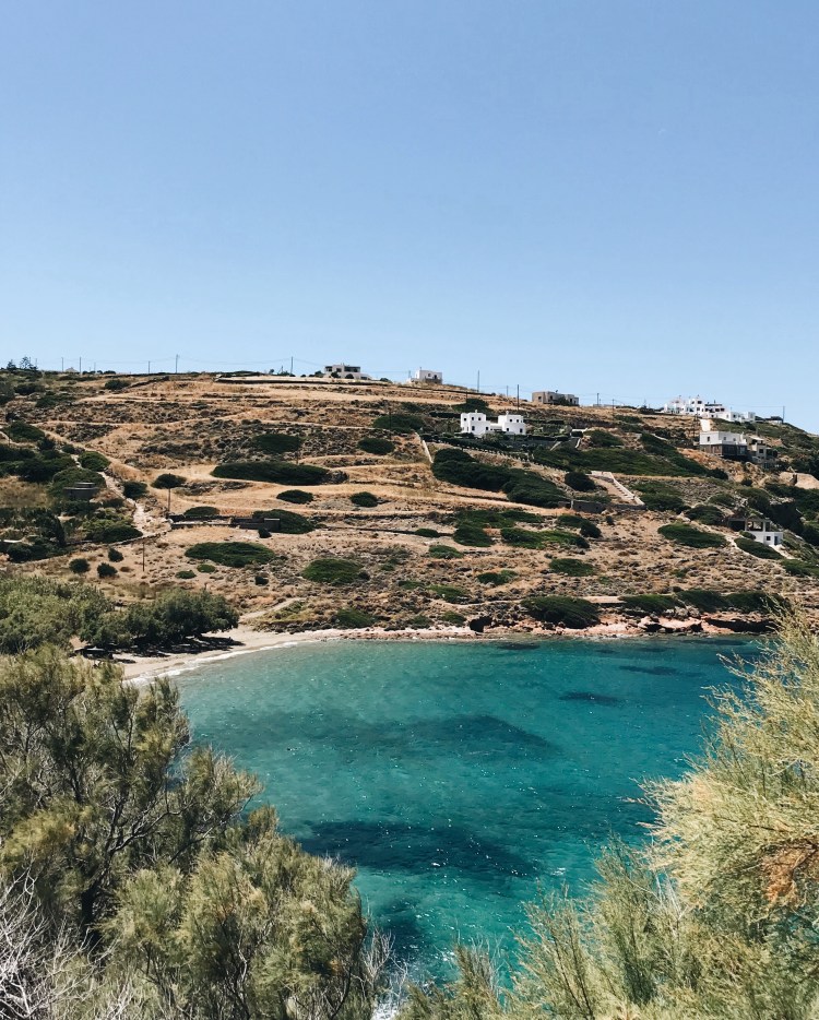 Processed with VSCO with a6 preset