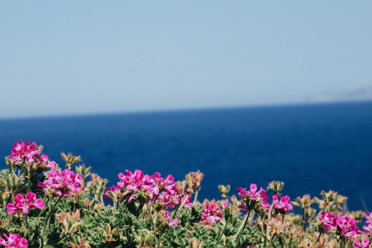 Processed with VSCO with a6 preset