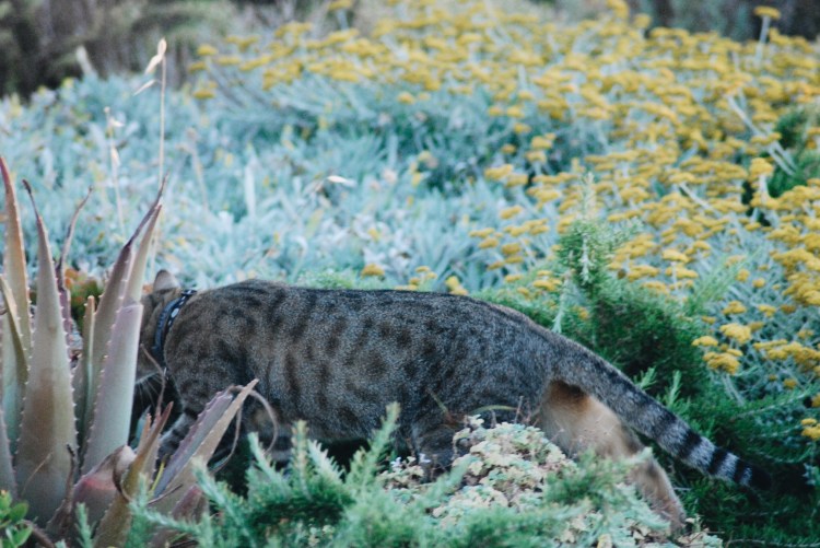 Processed with VSCO with a6 preset