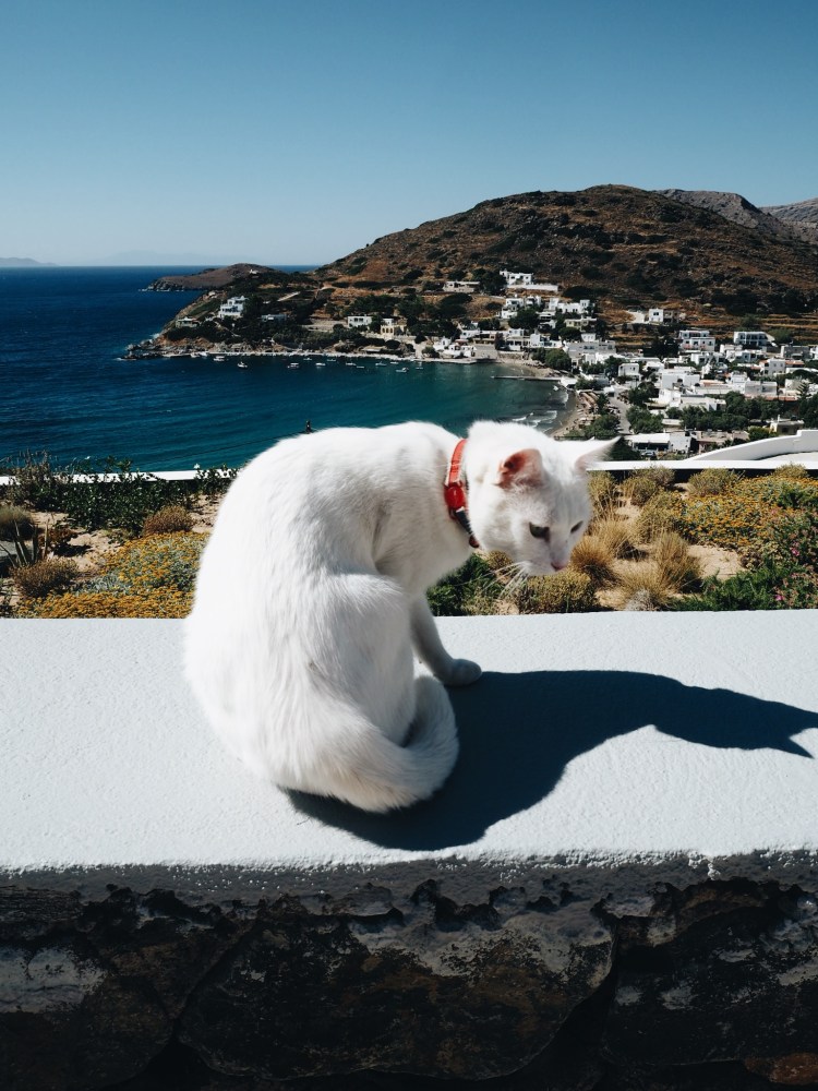 OLYMPUS DIGITAL CAMERA          Processed with VSCO with a6 preset