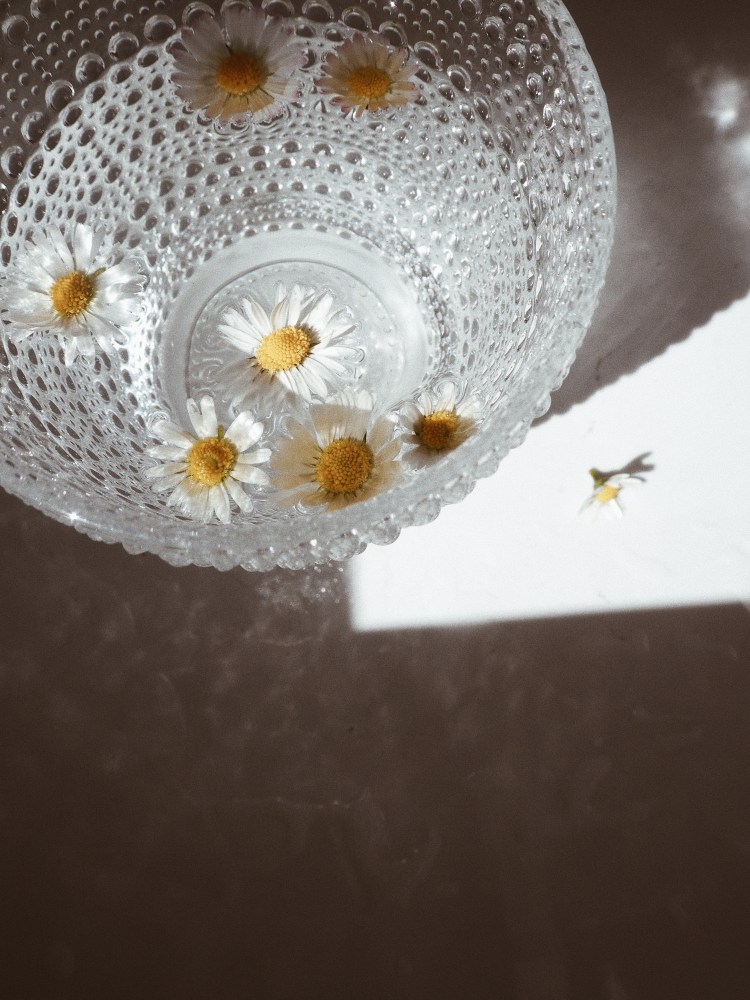 OLYMPUS DIGITAL CAMERA          Processed with VSCO with a4 preset