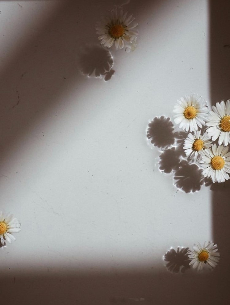 9f945ca9-8bb5-4b95-8aba-55430802b37a