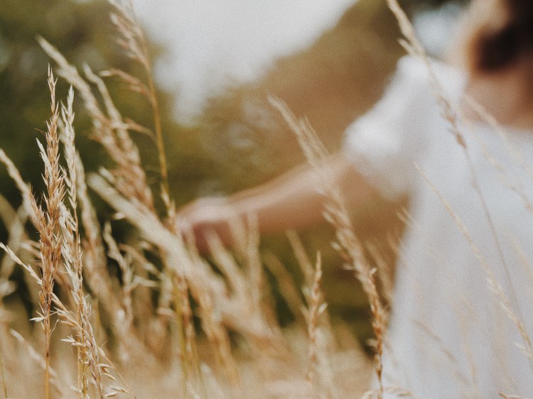 OLYMPUS DIGITAL CAMERA          Processed with VSCO with m5 preset