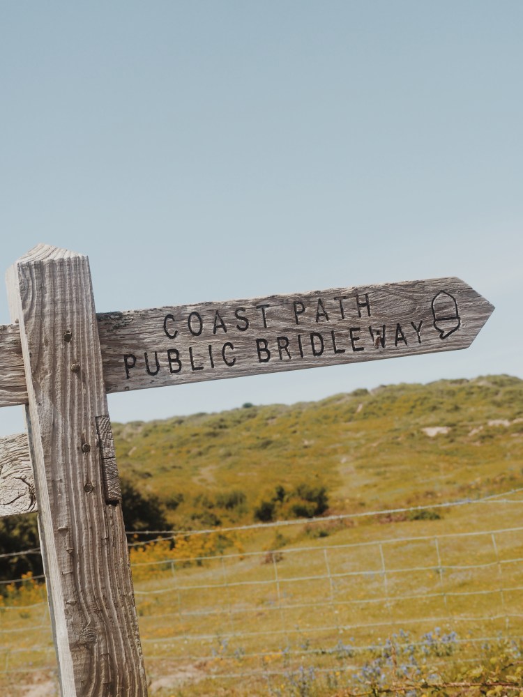 OLYMPUS DIGITAL CAMERA          Processed with VSCO with m5 preset