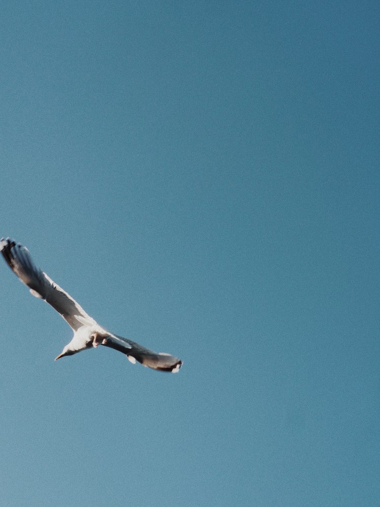 OLYMPUS DIGITAL CAMERA          Processed with VSCO with m5 preset