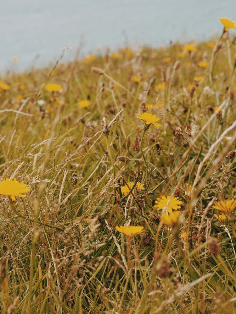 OLYMPUS DIGITAL CAMERA          Processed with VSCO with m5 preset