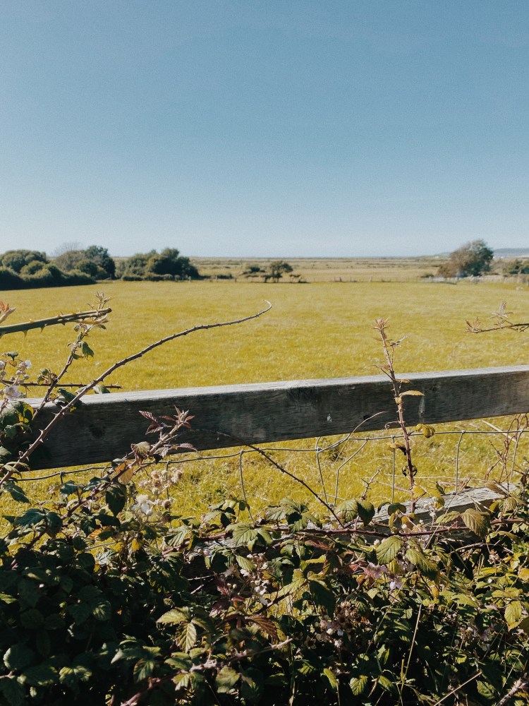 Processed with VSCO with m5 preset