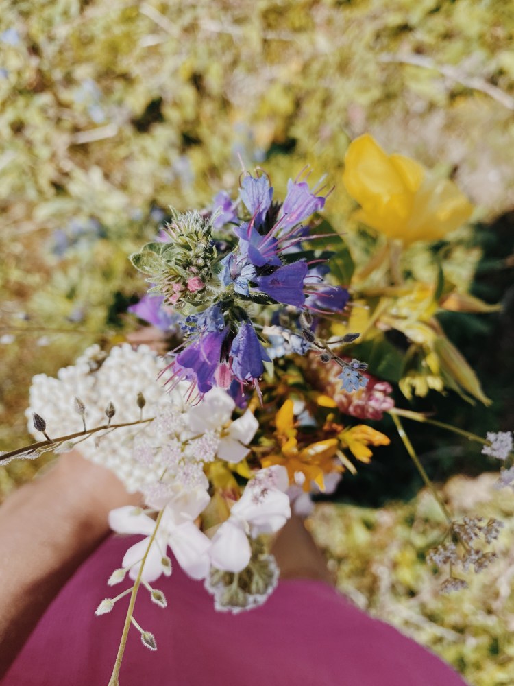 Processed with VSCO with m5 preset