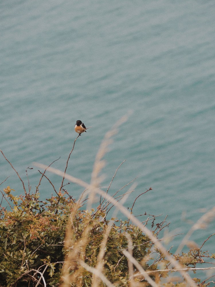 OLYMPUS DIGITAL CAMERA          Processed with VSCO with m5 preset