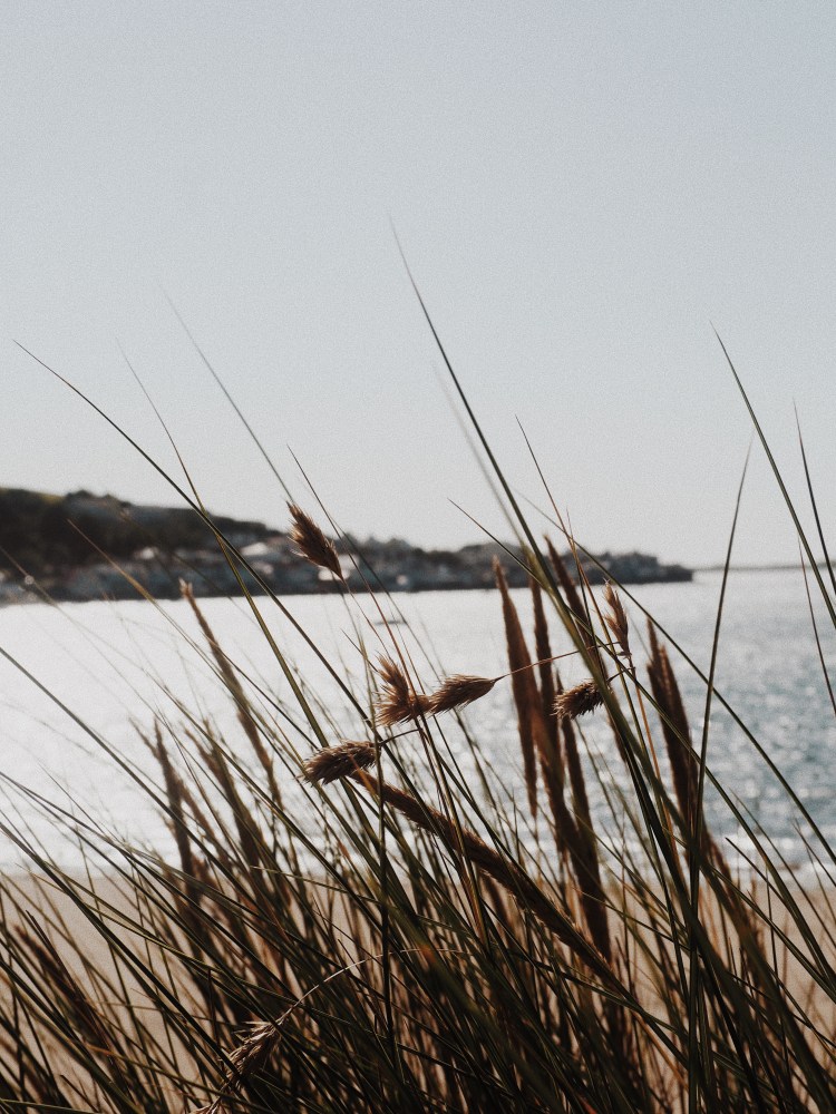 OLYMPUS DIGITAL CAMERA          Processed with VSCO with m5 preset